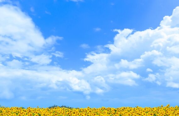 お盆期間診療日のお知らせ　やまぐち南整骨院