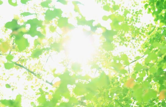ぎっくり腰でお悩みの方山口市のやまぐち南整骨院へ